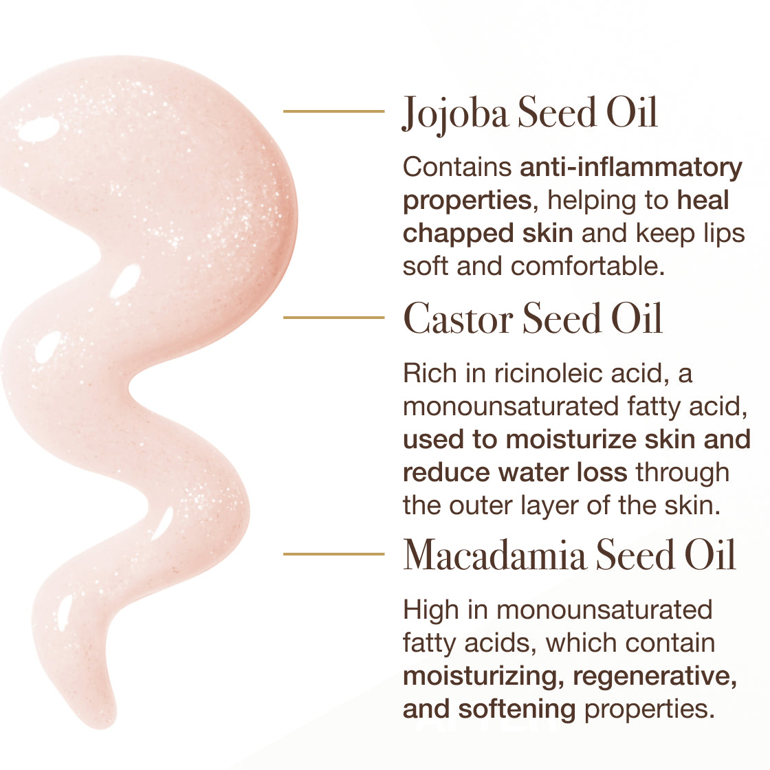 The Lip Slip® Gloss