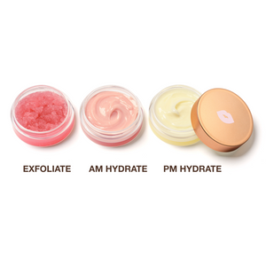 The Lip Essentials